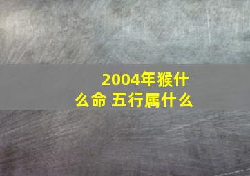 2004年猴什么命 五行属什么